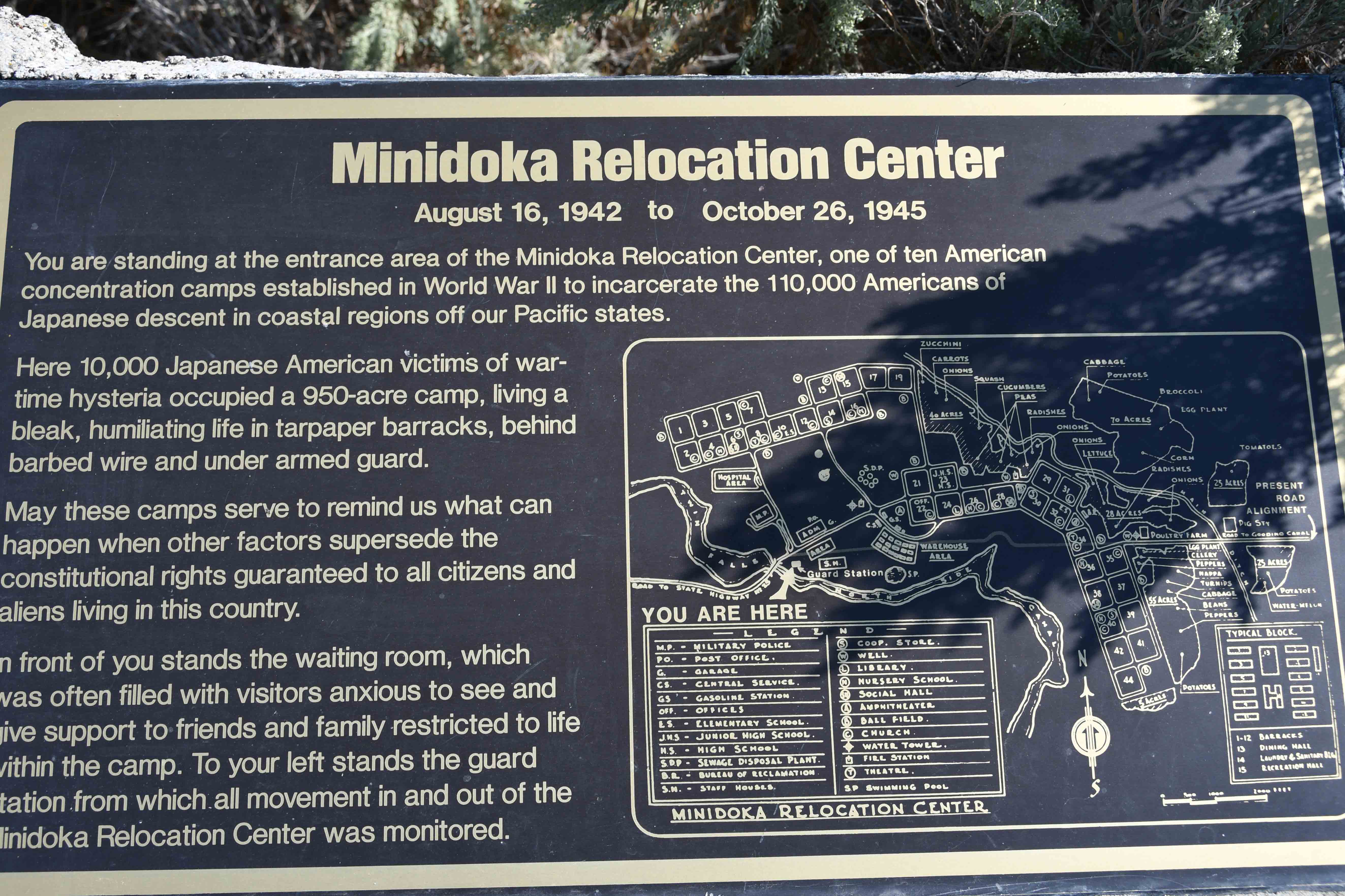 minidoka-05.jpg