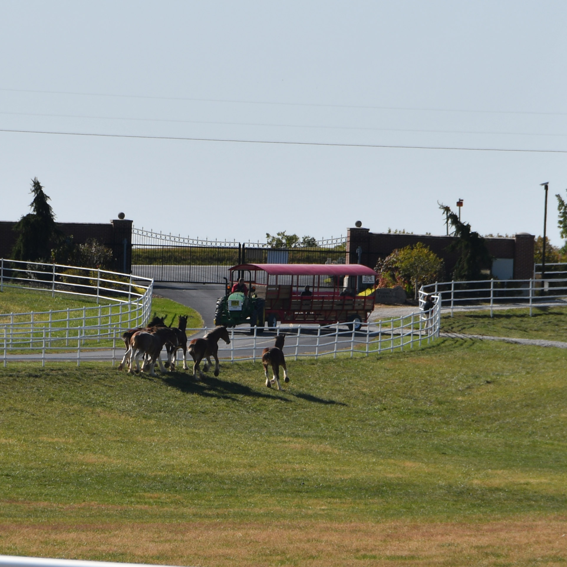 warmspringsranch-08.jpg