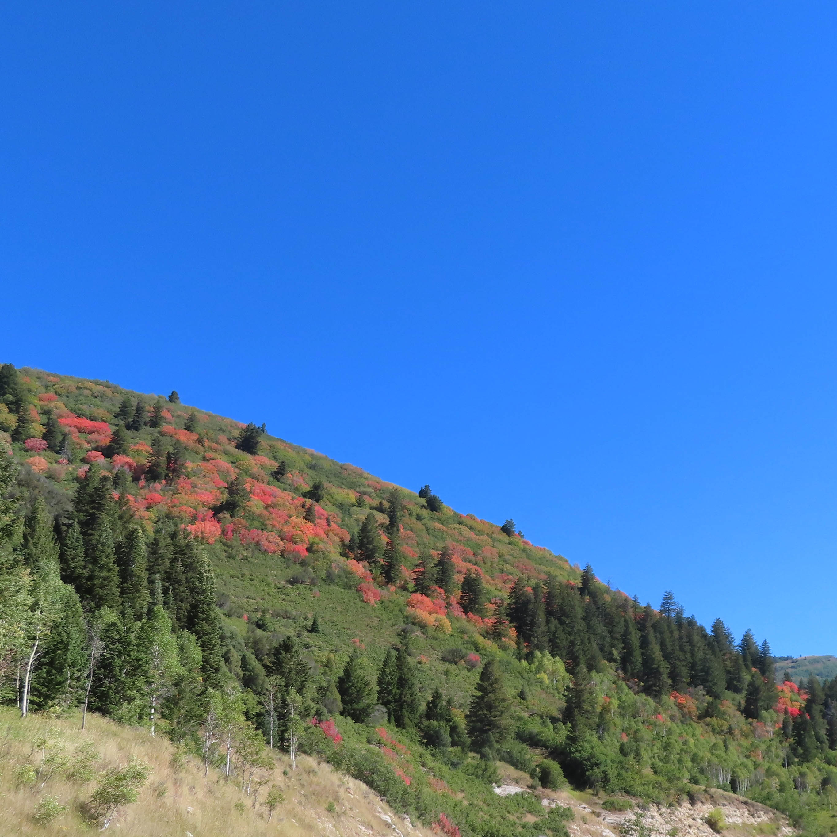 silverlakeparkcity-01.jpg silverlakeparkcity-01.jpg