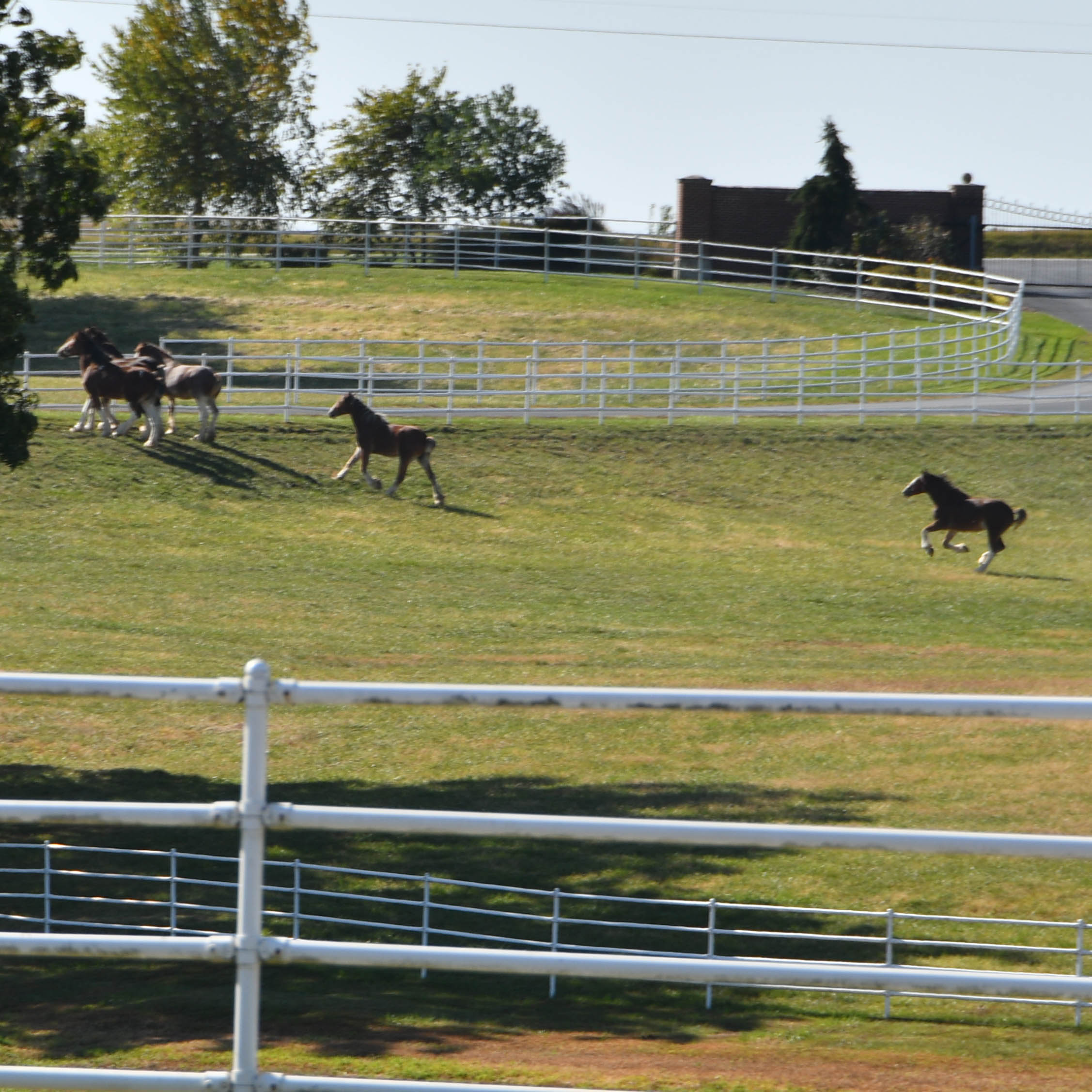 warmspringsranch-07.jpg warmspringsranch-07.jpg